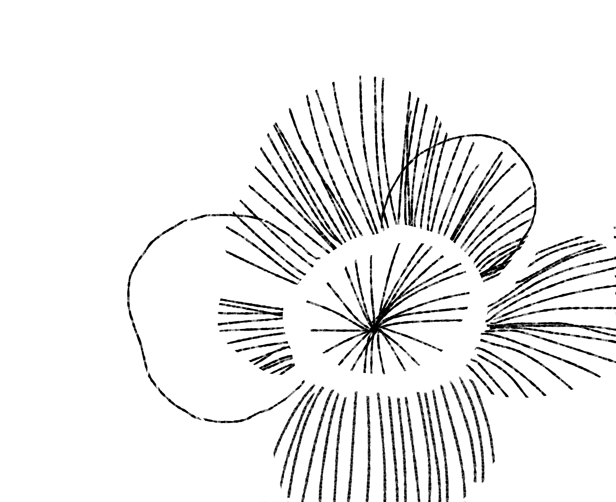 Flower illustration