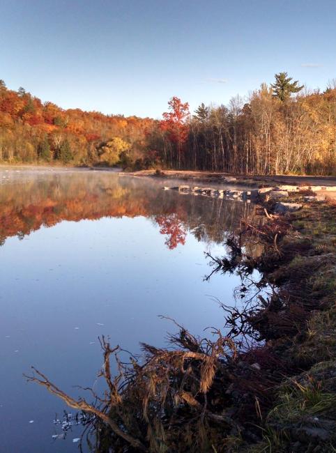 Photo of river from site