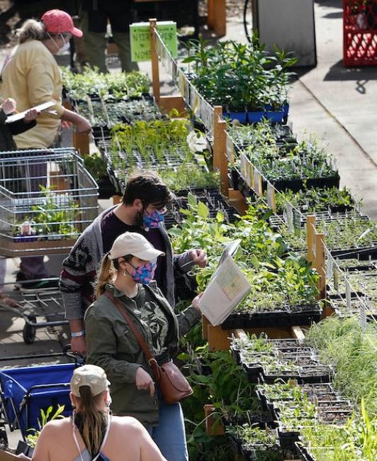 Shoppers at the Friends School Plant Sale.
