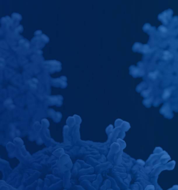 Rotavirus virons.